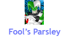 Fool`s Parsley