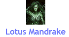 Lotus Mandrake