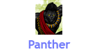 panther