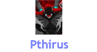 Pthirus